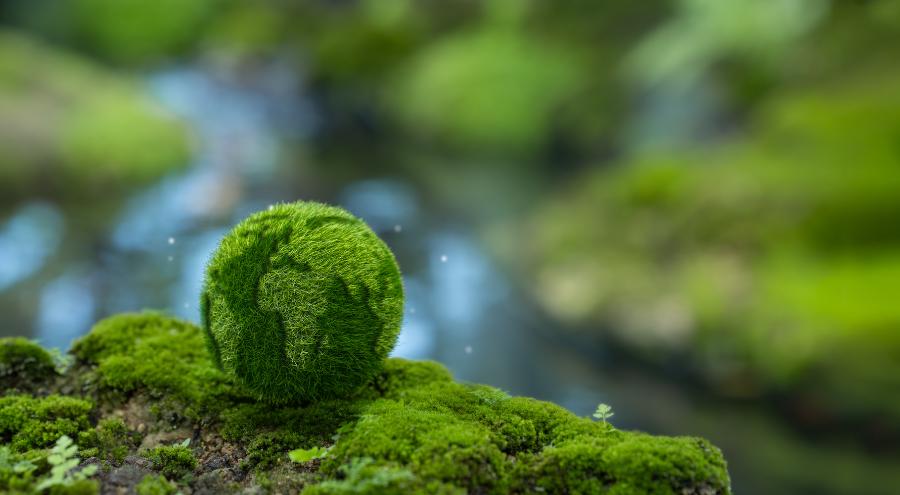 Vanaf 2027 verplichte bijmenging van groen gas